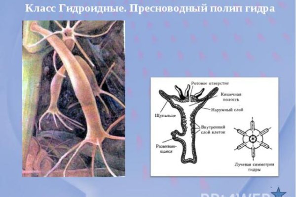 Кракен не работает